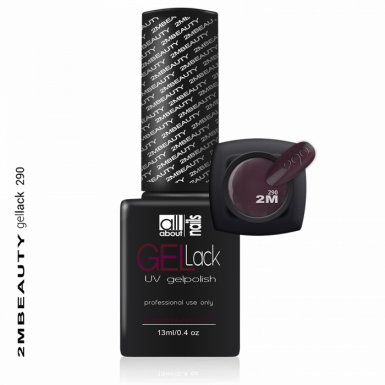 Gel lak - mat 290