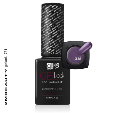 Gel lak - Mat 731