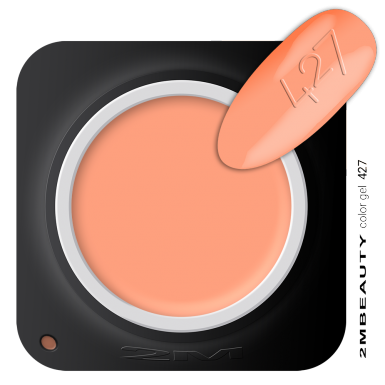 Gel u boji - mat 427