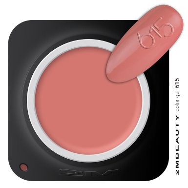 Gel u boji - mat 615