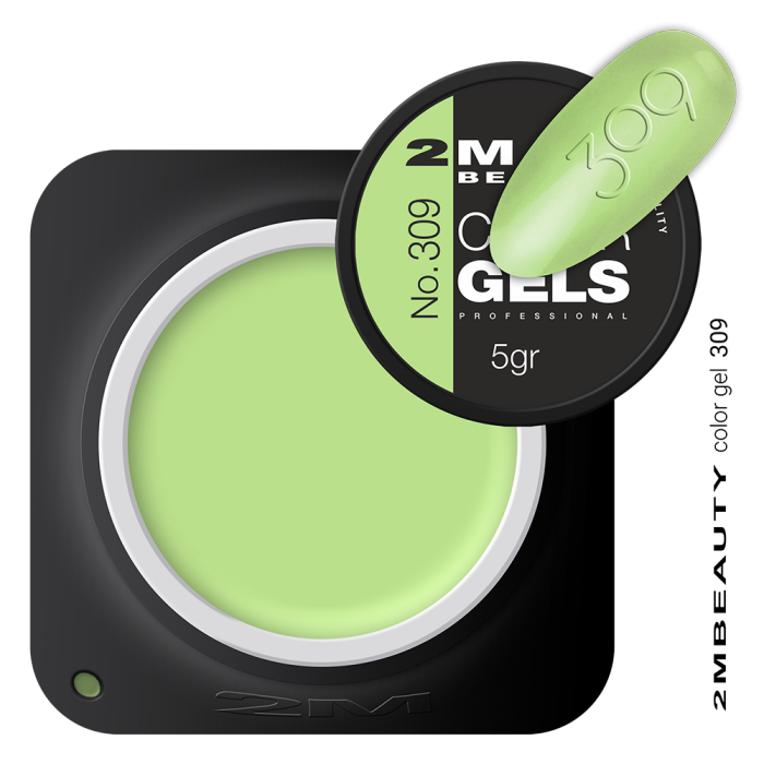 Gel u boji - mat 309