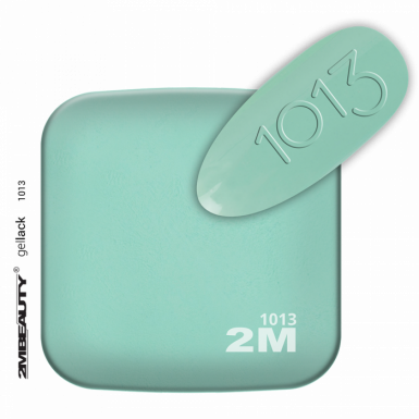 GEL LAK - MAT 1013